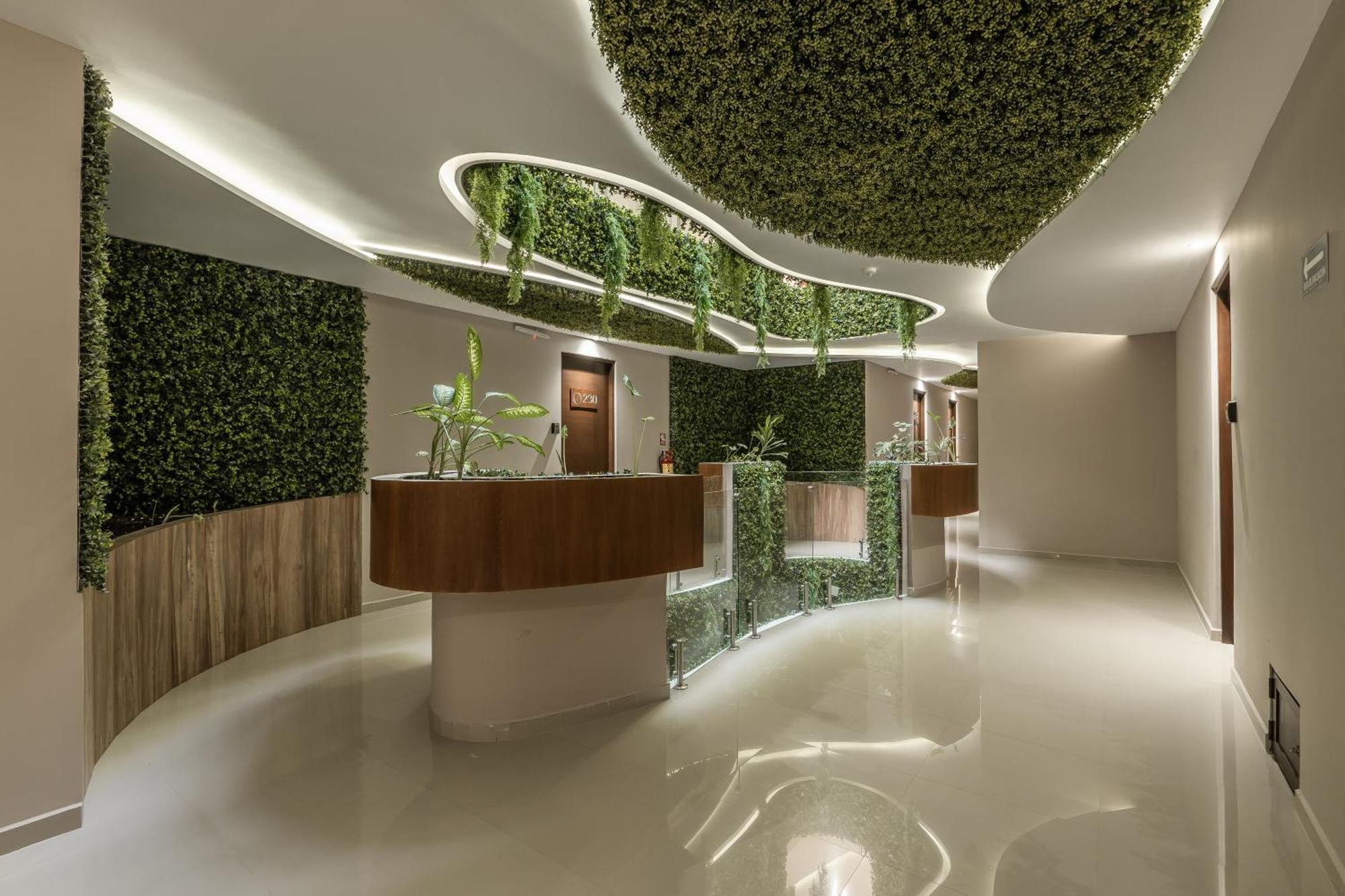 Estudio Lujoso, Downtown, Close To Restaurants 图卢姆 外观 照片